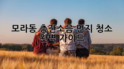 모라동 층간소음, 먼지 청소 완벽 가이드!