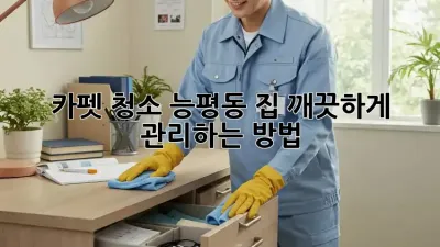 카펫 청소: 능평동 집, 깨끗하게 관리하는 방법